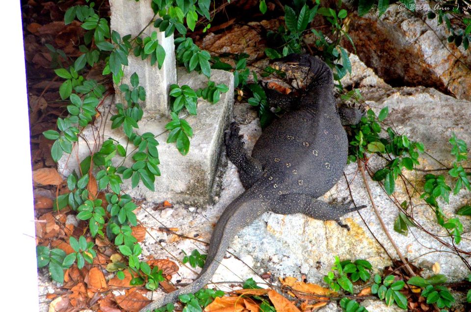 Photo of Perhentian Islands, One stop Beautiful Island 18/25 by Bobby