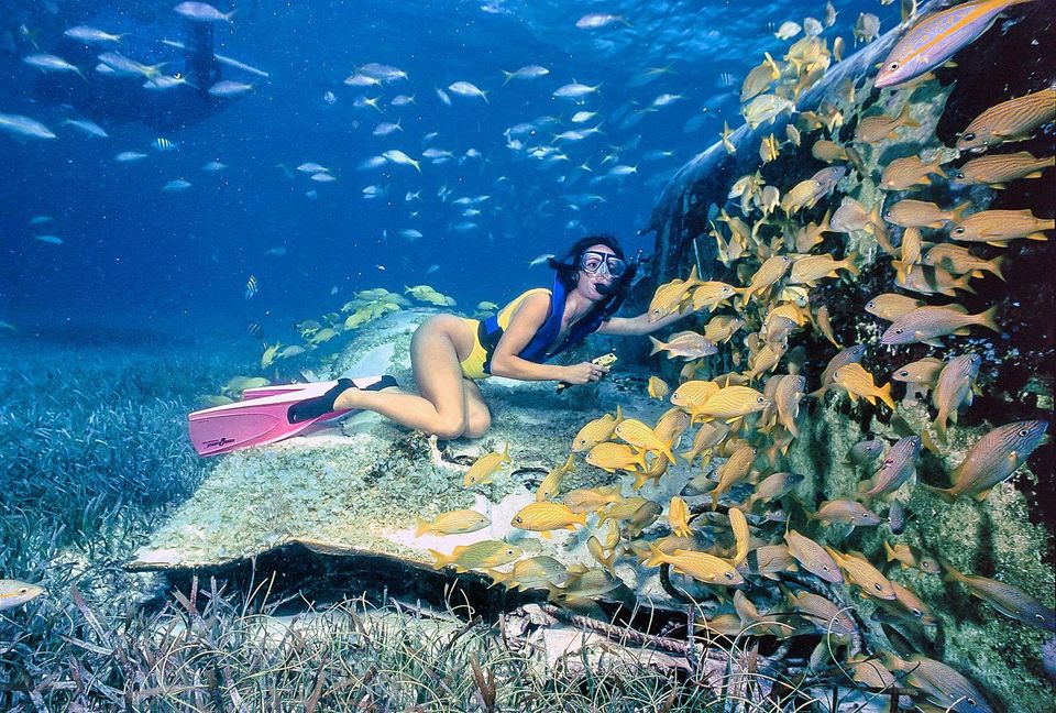 Photo of The Ultimate 50 Bucket List 37/51 by chix on board