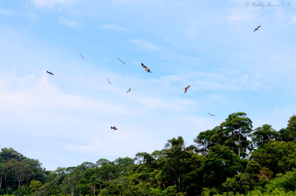 Photo of Exploring Langkawi, the jewel of Kedah in Malaysia 19/38 by Bobby