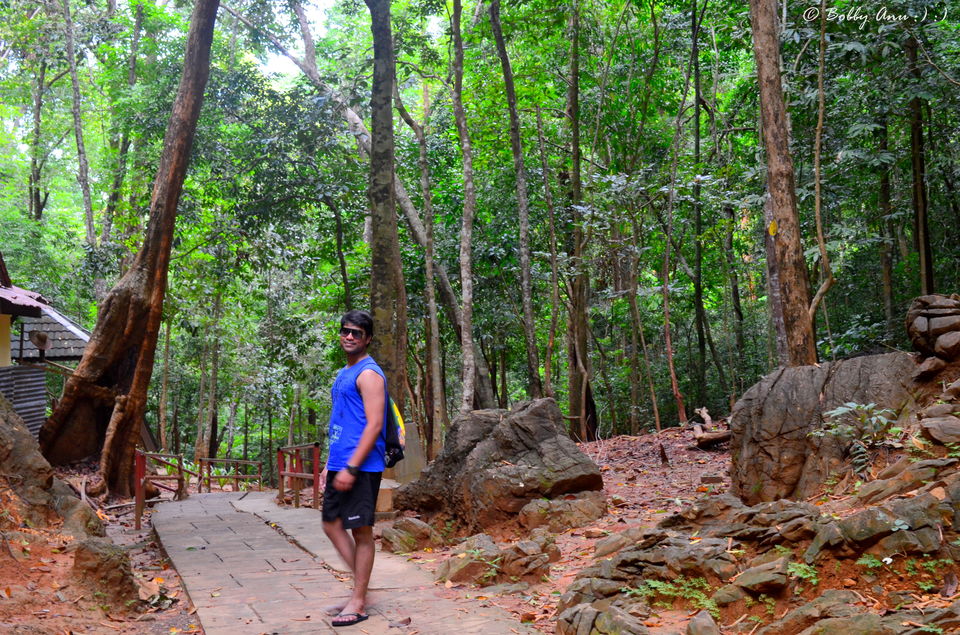 Photo of Exploring Langkawi, the jewel of Kedah in Malaysia 21/38 by Bobby