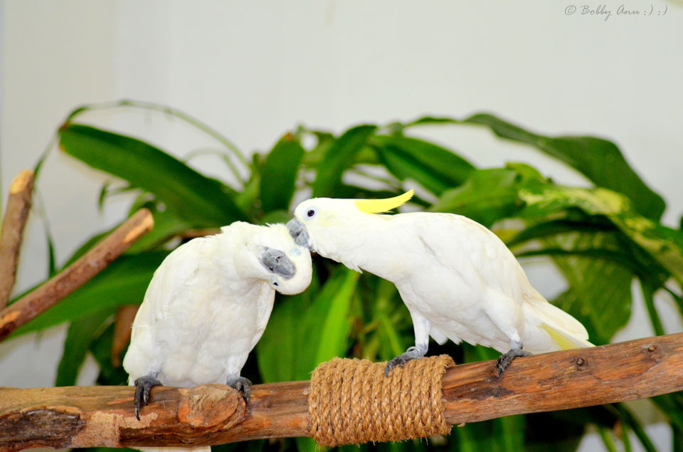 Photo of Exploring Langkawi, the jewel of Kedah in Malaysia 26/38 by Bobby