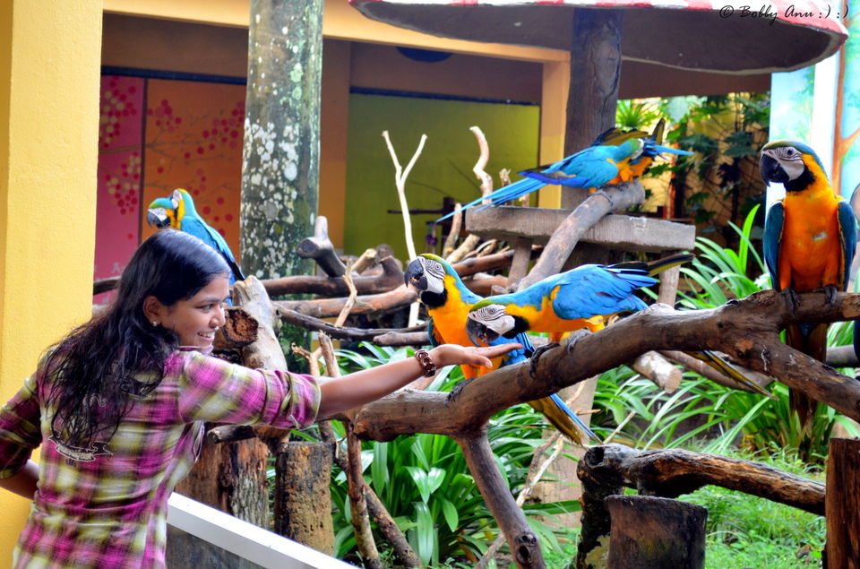 Photo of Exploring Langkawi, the jewel of Kedah in Malaysia 27/38 by Bobby