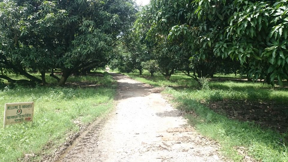 Photo of Why You Really Need a Solitary Road Trip to Absolutely Nowhere 4/5 by Shubhodeep Chakravarty
