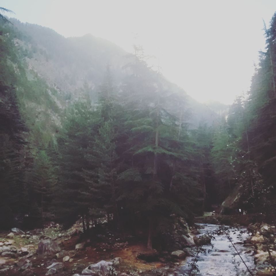 Photo of (5 places 10 days) -KASOL-MANIKARAN-TOSH-KHEERGANGA-MANALA 41/45 by Manmeet Kaur