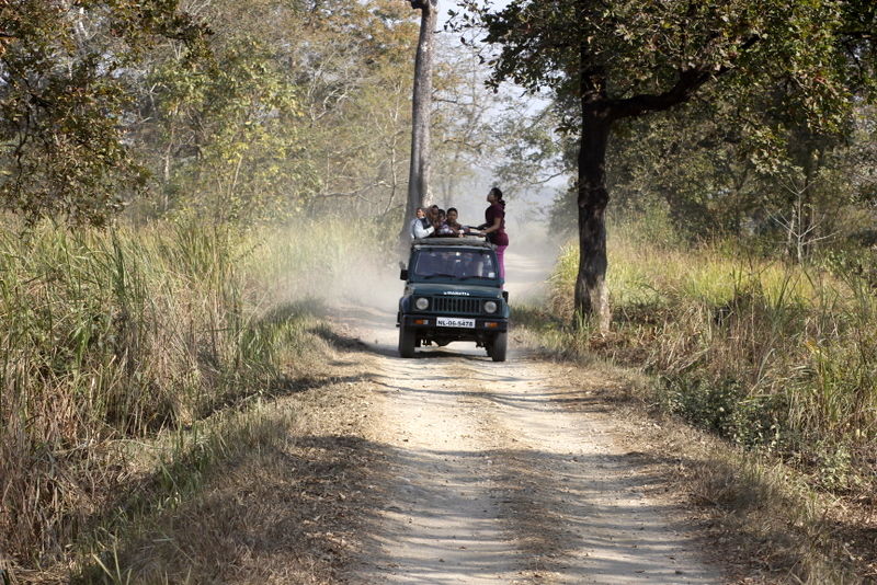 Photo of Graduation Trip to Kaziranga 77/85 by Nabarun Paul