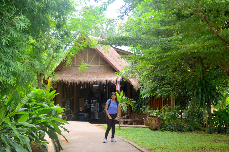 Photo of Weekend in Kanchanaburi, Sanctuary for wild animals 6/18 by Bobby