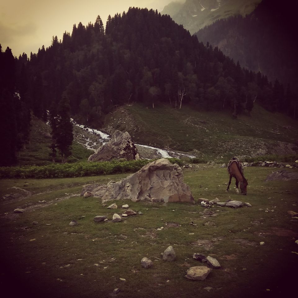 Photo of Kashmir – A traveller's dream 30/46 by Shruti Sidhan