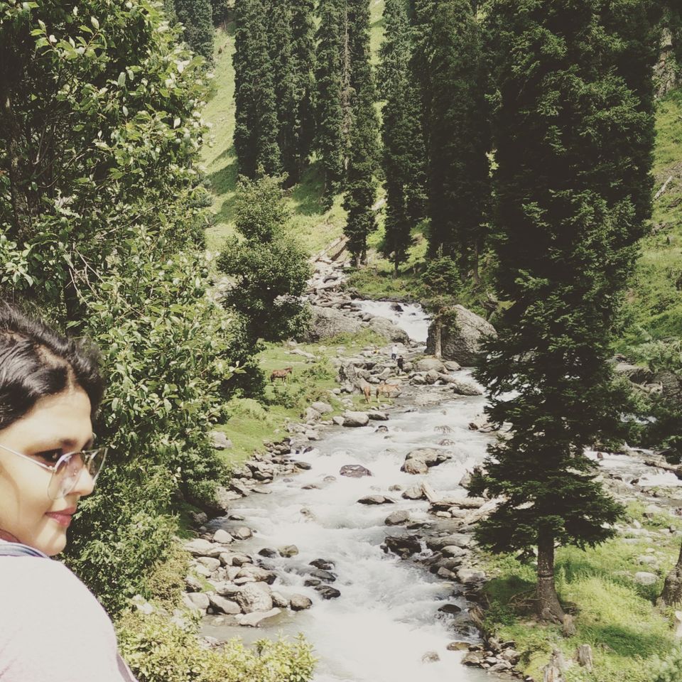 Photo of Kashmir – A traveller's dream 34/46 by Shruti Sidhan