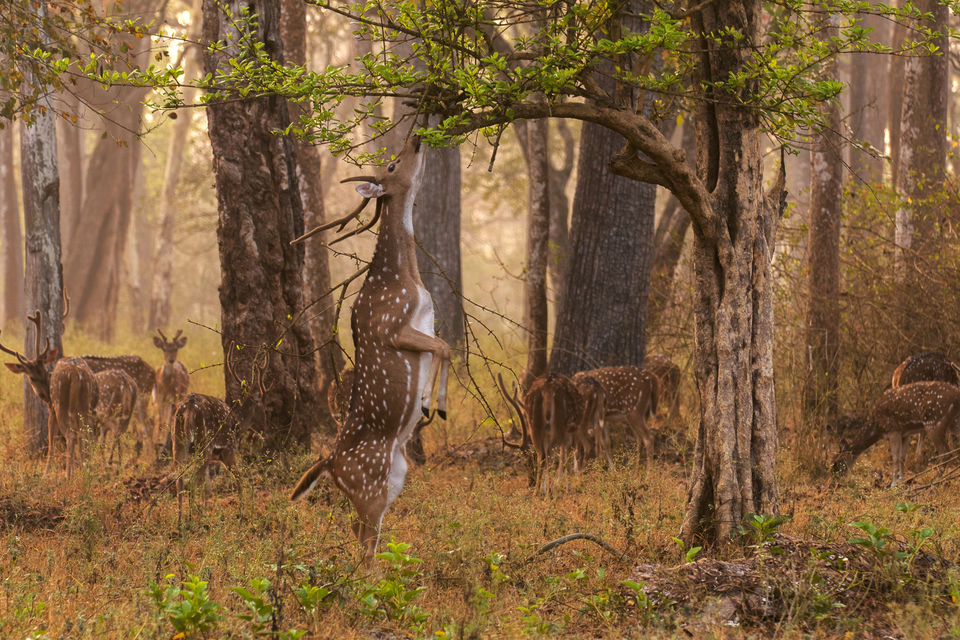 Photo of 10 Unexplored Places in South India That Have Been Ignored For Far Too Long 6/10 by Disha Kapkoti