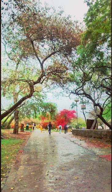 Photo of 12 Reasons Why You Should Try Living in Delhi at Least Once 7/18 by Gunjan Upreti