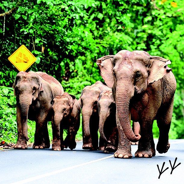 Photo of 16 Amazing Images To #TravelAsia From The Lens Of Regular Instagramers 16/17 by Abhigya S