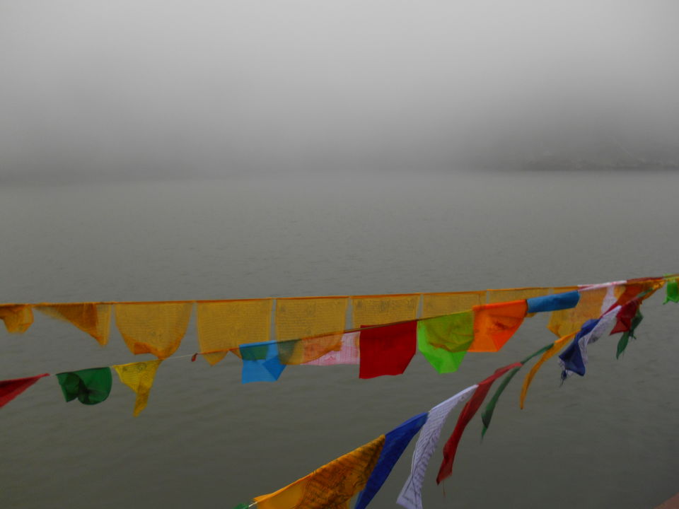 Photo of A solo female traveller in the heaven of Sikkim and Darjeeling 9/14 by Upasana Jaiswal