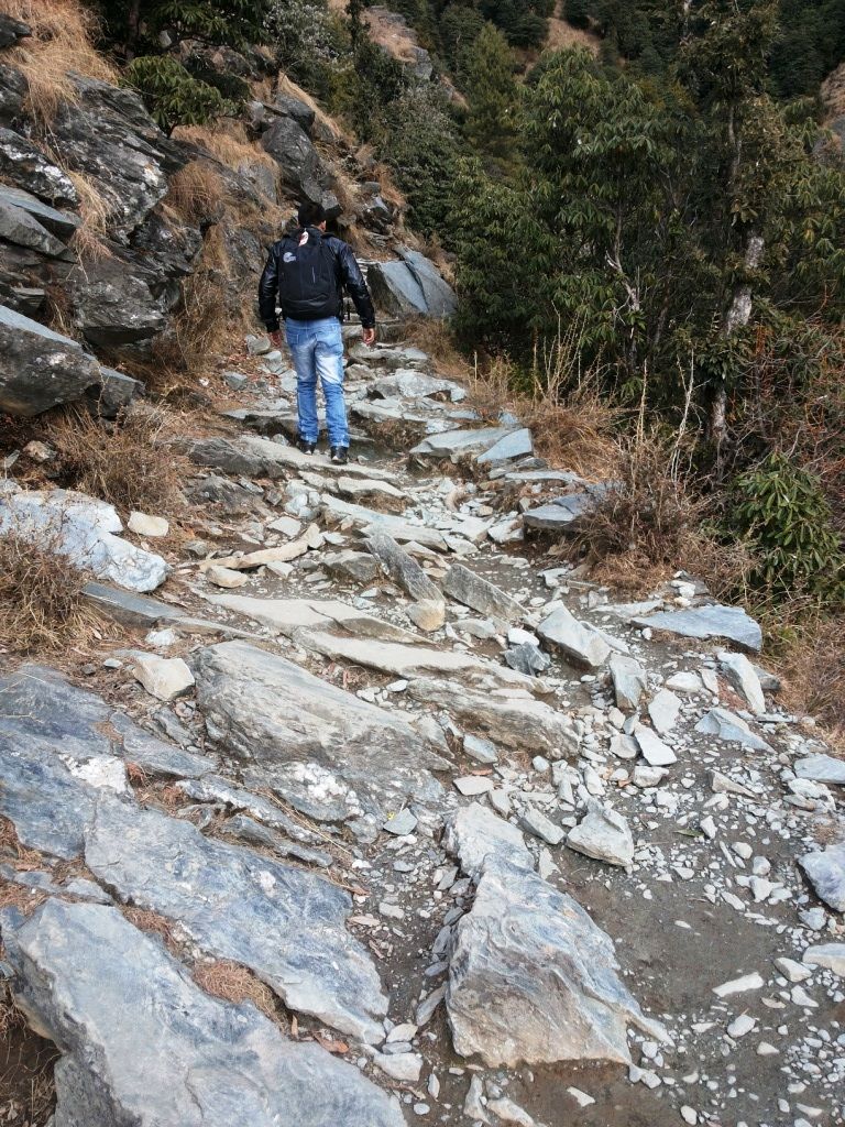 Photo of Dharamshala and Mcleodganj | Underrated paradise on earth 16/17 by anirudhsingh
