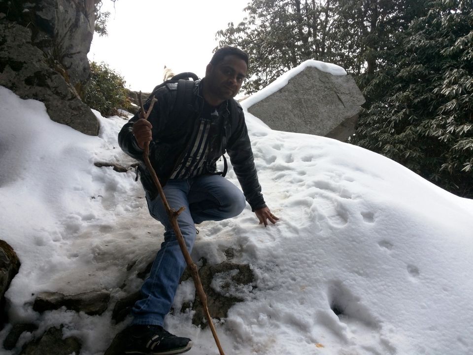 Photo of Dharamshala and Mcleodganj | Underrated paradise on earth 17/17 by anirudhsingh