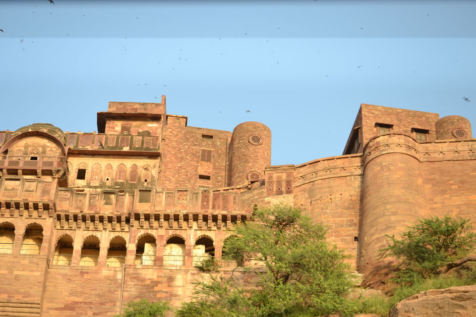 Photo of Jodhpur in 3 days 38/55 by Sanchita Nanda
