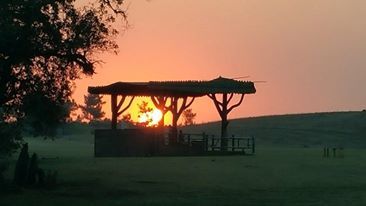 Photo of Rejuvenate in the lap of nature – a spa treatment for your mind! 6/7 by Amrita Kapoor