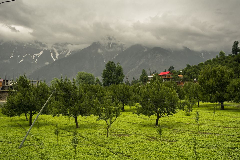 Photo of In photos: Kalpa and Roghi 3/11 by Jyotirmoy Gupta
