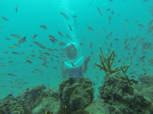 Photo of 10 Adventure Sports in India that Prove Our Homeland is the Next Big Adventure Destination 6/20 by Trisha Singh