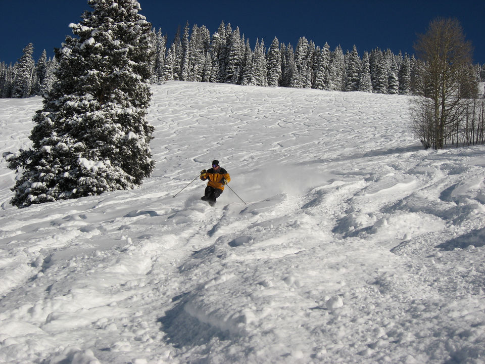 Photo of 10 Adventure Sports in India that Prove Our Homeland is the Next Big Adventure Destination 7/20 by Trisha Singh