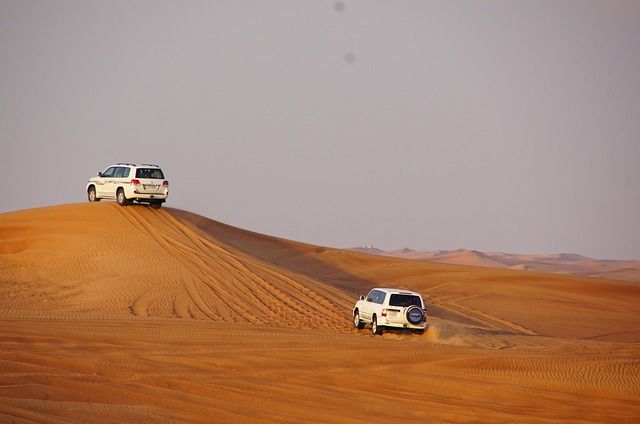 Photo of 10 Adventure Sports in India that Prove Our Homeland is the Next Big Adventure Destination 15/20 by Trisha Singh