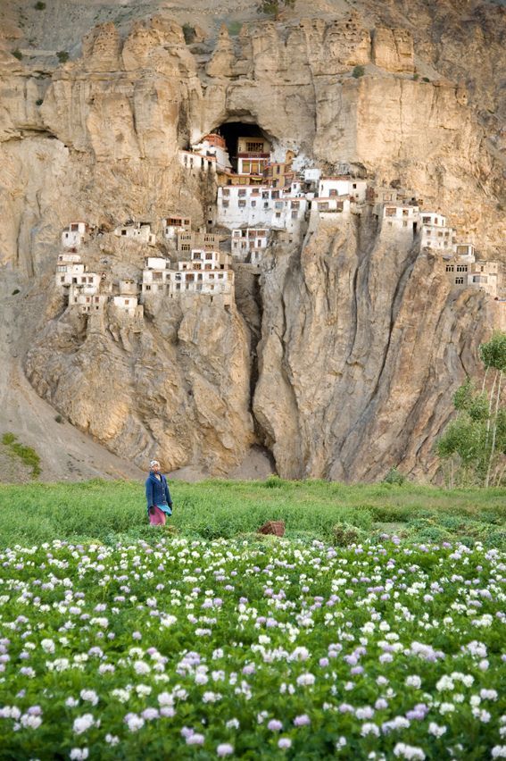 Photo of Incredible India 11/37 by chix on board