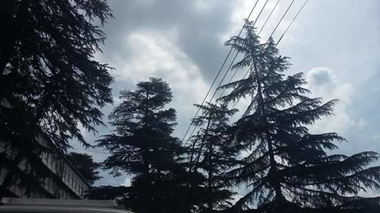 Photo of Manali: The land of snow clad mountains 3/20 by Jennifer
