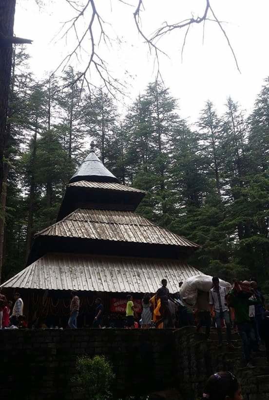 Photo of Manali: The land of snow clad mountains 5/20 by Jennifer