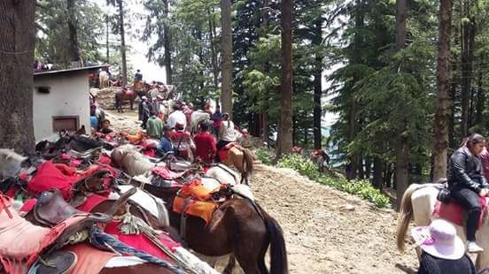 Photo of Manali: The land of snow clad mountains 12/20 by Jennifer