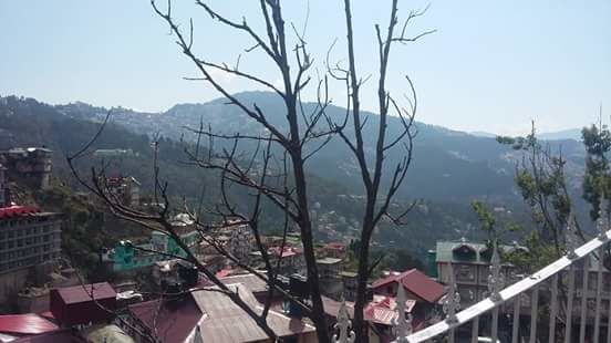 Photo of Manali: The land of snow clad mountains 8/20 by Jennifer