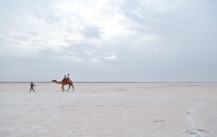 Photo of Incredible India 8/37 by chix on board