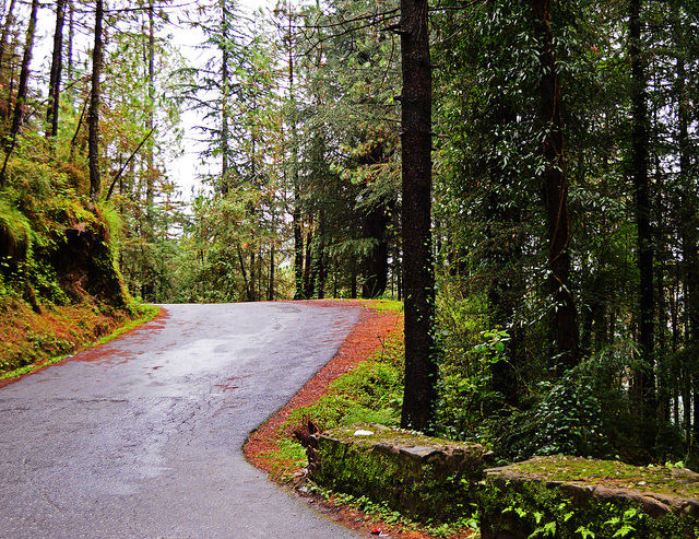 Photo of 11 Mystical Trails In India Begging To Be Walked 2/11 by Gunjan Upreti