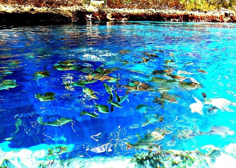 The Enchanted River Tripoto