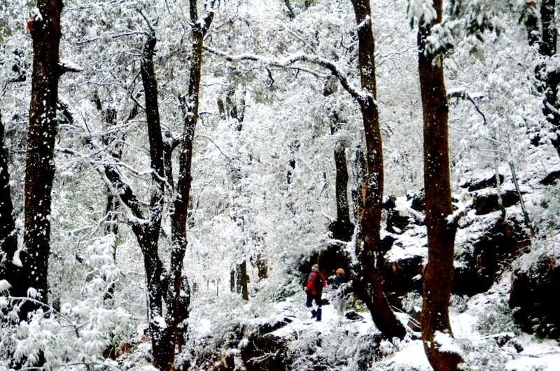 Photo of The Best Destinations in India That Will Put These Hollywood Locations To Shame 15/19 by Disha Kapkoti