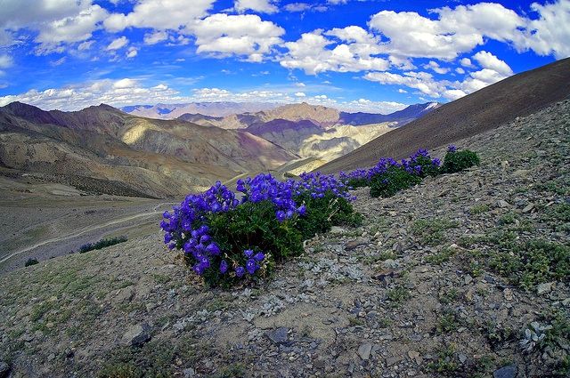 Photo of Channel The Outdoor Woman In You With These Audacious Trips 2/5 by Pritha Puri