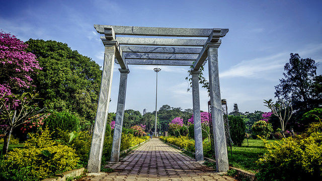 Photo of 11 Mystical Trails In India Begging To Be Walked 7/11 by Gunjan Upreti