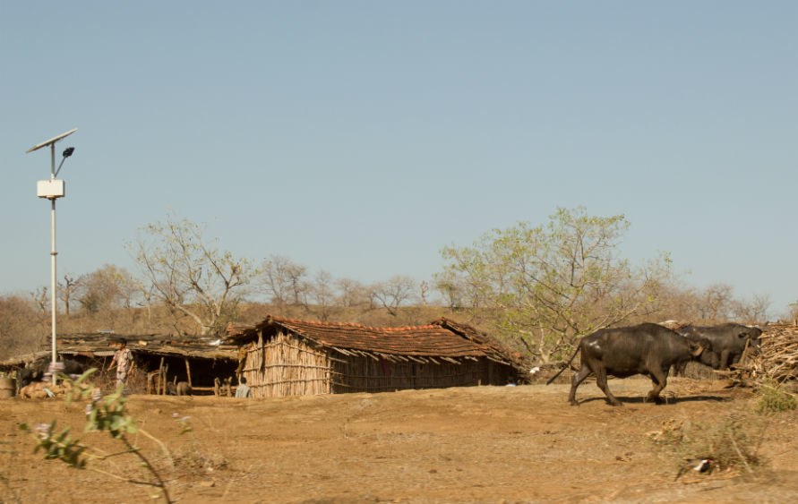 Photo of The Wanderlust: Ahmedabad, Gir & Diu, Part: 2 15/15 by Ashish