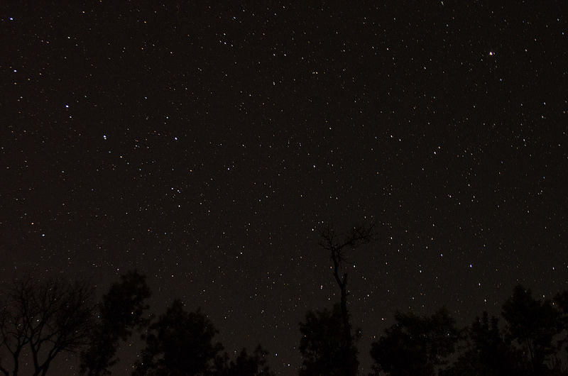Photo of Capture a Night Landscape of Your Dreams: Where to Go to Find Starry Skies 5/10 by Disha Kapkoti