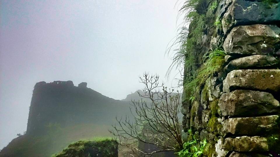 Photo of Korigad - Place of Backward Waterfall 8/15 by Manish