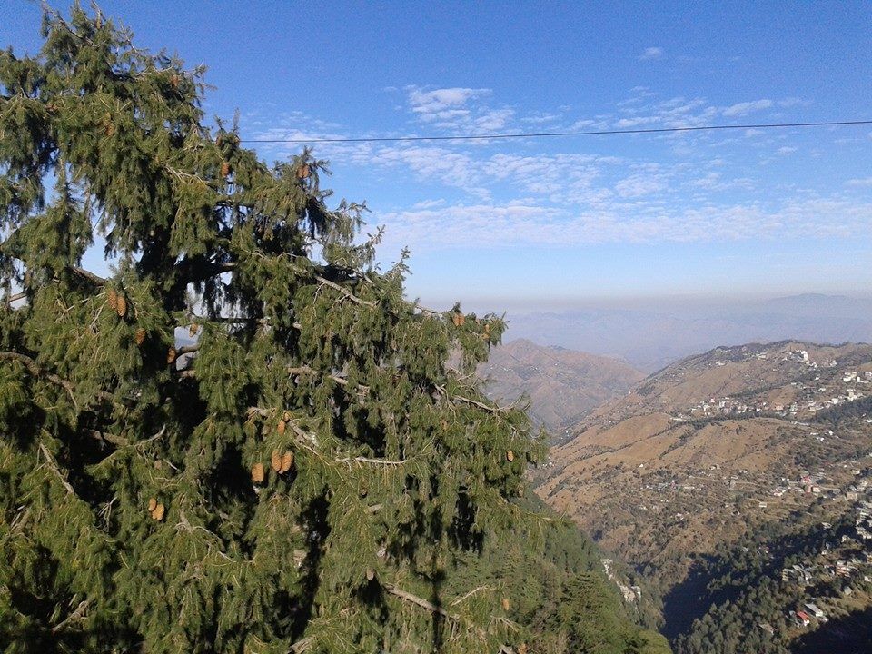 Photo of Solo travel experience to Sarahan 1/4 by Ghumakad Geetika