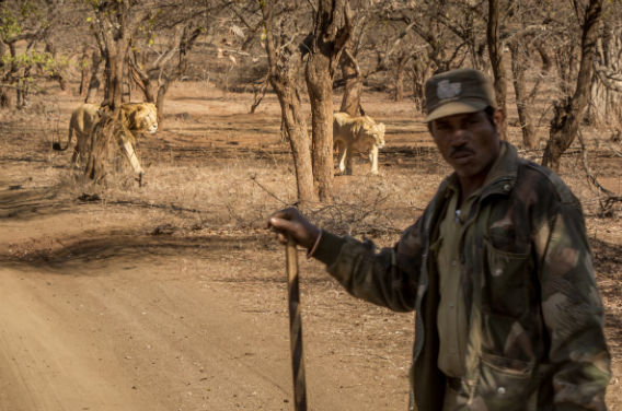 Photo of The Wanderlust: Ahmedabad, Gir & Diu, Part: 2 14/15 by Ashish