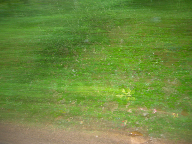 Photo of To beat the summer heat 23/32 by Hrishikesh