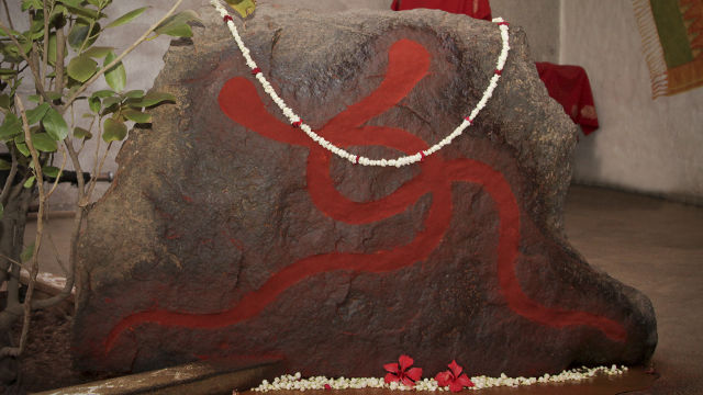 Photo of Isha Yoga Centre -Mystical Paradise on Earth 29/29 by Anu Shobana