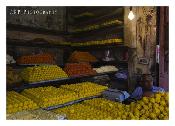 Photo of Tales of a Wanderlust from… Jaipur, Rajasthan Part-III 10/10 by The Wandering Chubbies