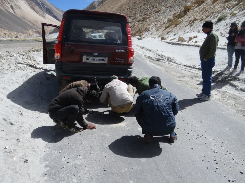 Photo of Backpacking in Ladakh : My encounter with killer buffaloes, rats and flirty shopkeepers 11/14 by Ankita Sharma