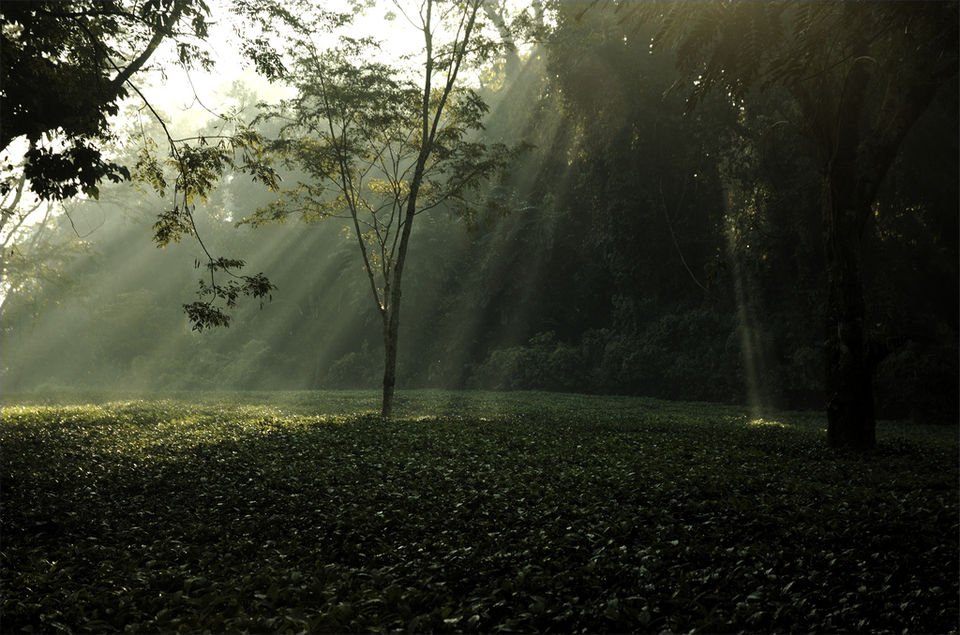 Photo of 21 Pictures That Prove North East India is The Most Instagrammable Place On Earth 5/22 by Disha Kapkoti