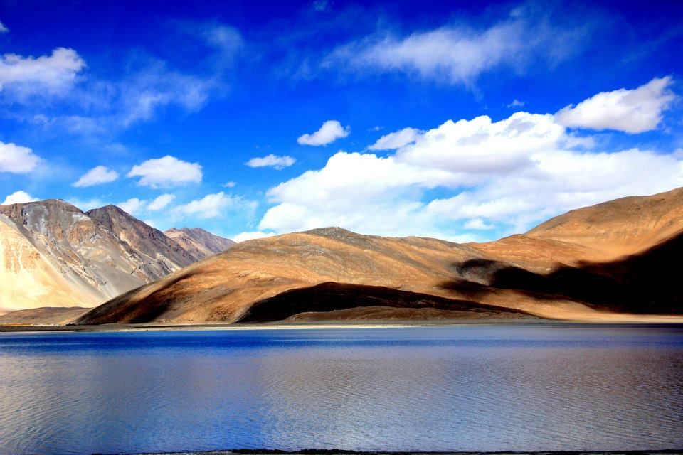 Photo of Backpacking in Ladakh : My encounter with killer buffaloes, rats and flirty shopkeepers 12/14 by Ankita Sharma
