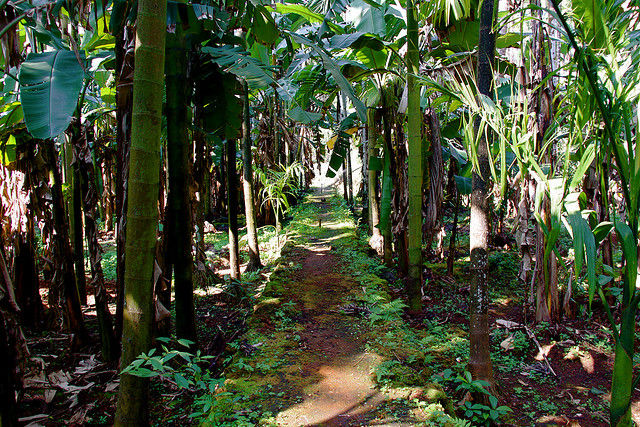 Photo of 9 Reasons Goa Is So Much More Than Just Its Beaches 10/17 by Gunjan Upreti
