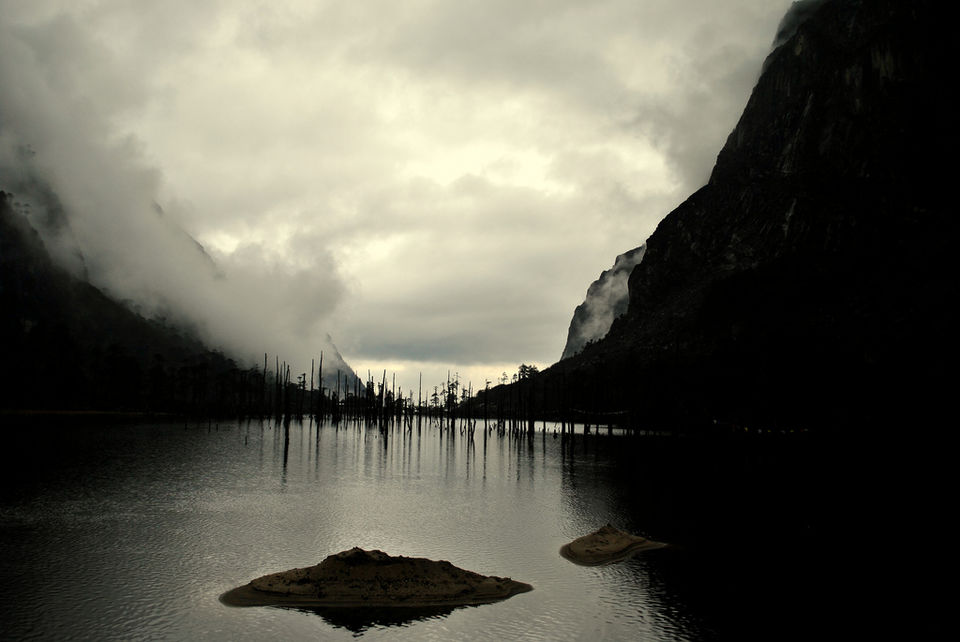 Photo of 21 Pictures That Prove North East India is The Most Instagrammable Place On Earth 3/22 by Disha Kapkoti