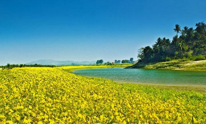 Photo of 21 Pictures That Prove North East India is The Most Instagrammable Place On Earth 19/22 by Disha Kapkoti