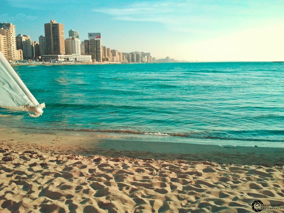 Photo of Tours & Excursions to Alexandria from Cairo 9/9 by bhgat